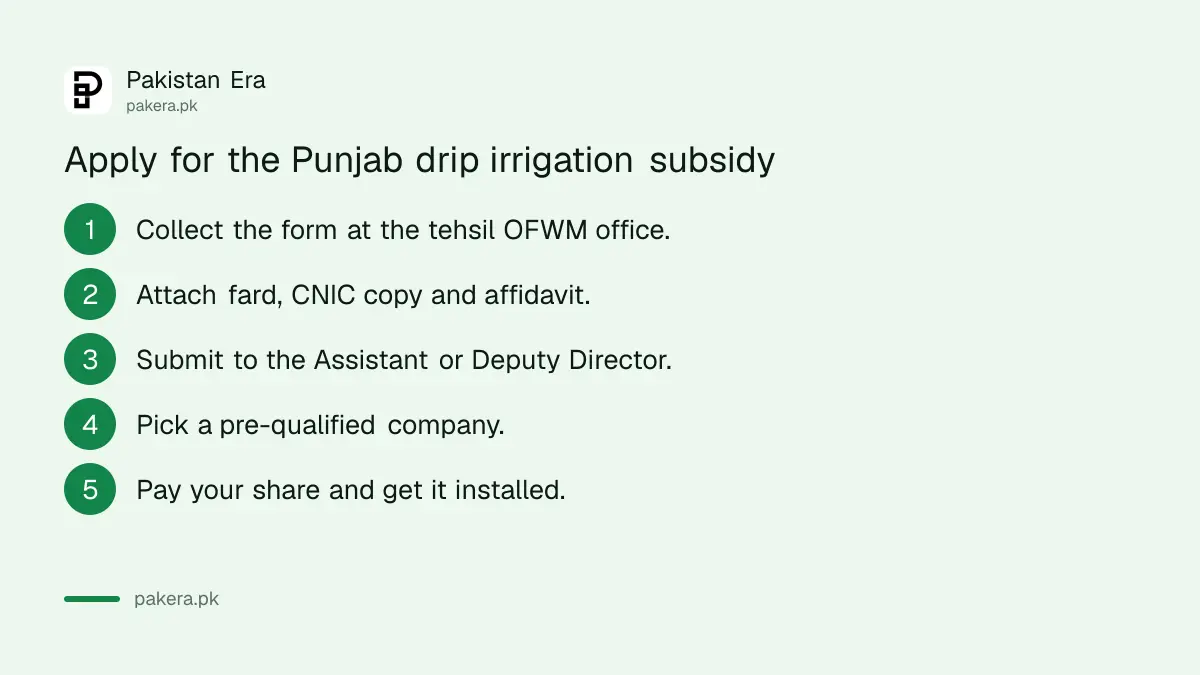 Steps to apply for the drip irrigation subsidy at a Punjab OFWM office