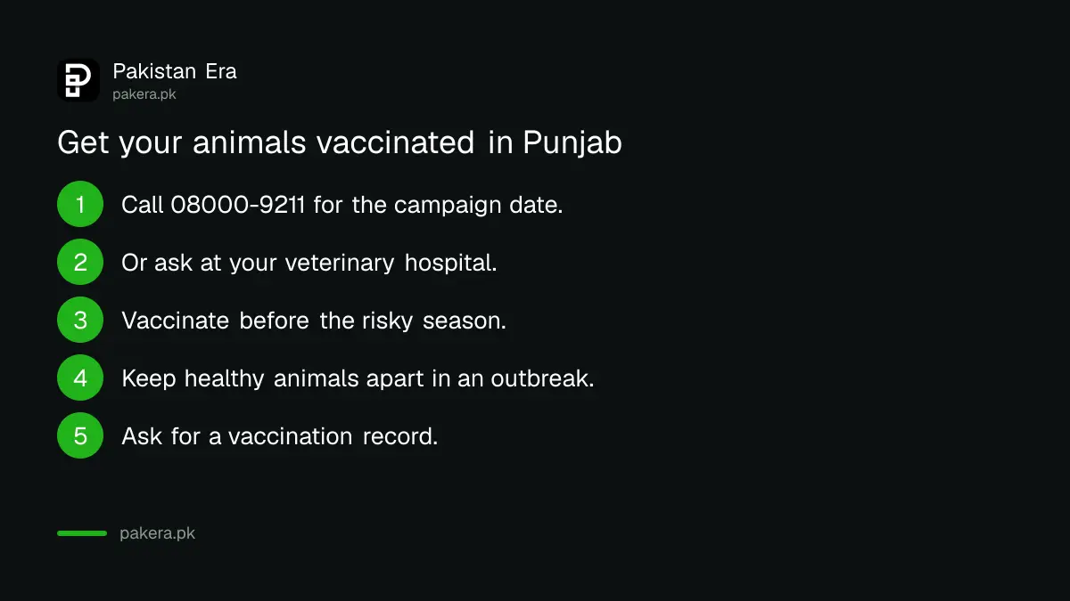 Steps to get your animals vaccinated by the Punjab Livestock Department