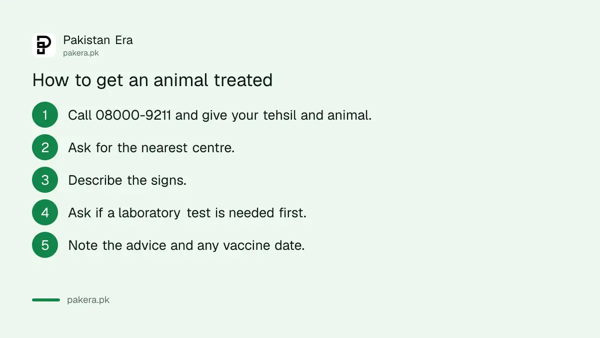 Steps to get an animal treated at a Punjab livestock centre