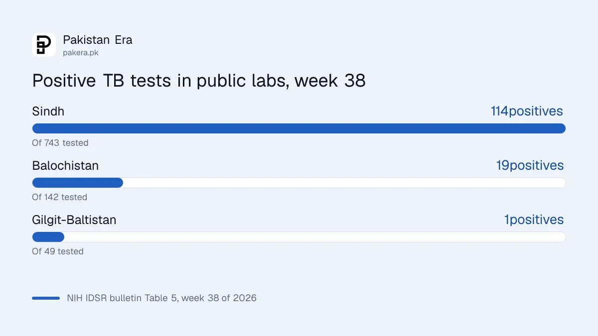 Bar chart of TB samples that tested positive in public laboratories in week 38 of 2026: Sindh 114 of 743, Balochistan 19 of 142, Gilgit-Baltistan 1 of 49