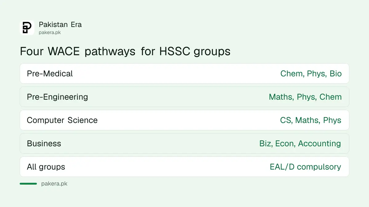 Four WACE pathways: Pre-Medical, Pre-Engineering, Computer Science and Business