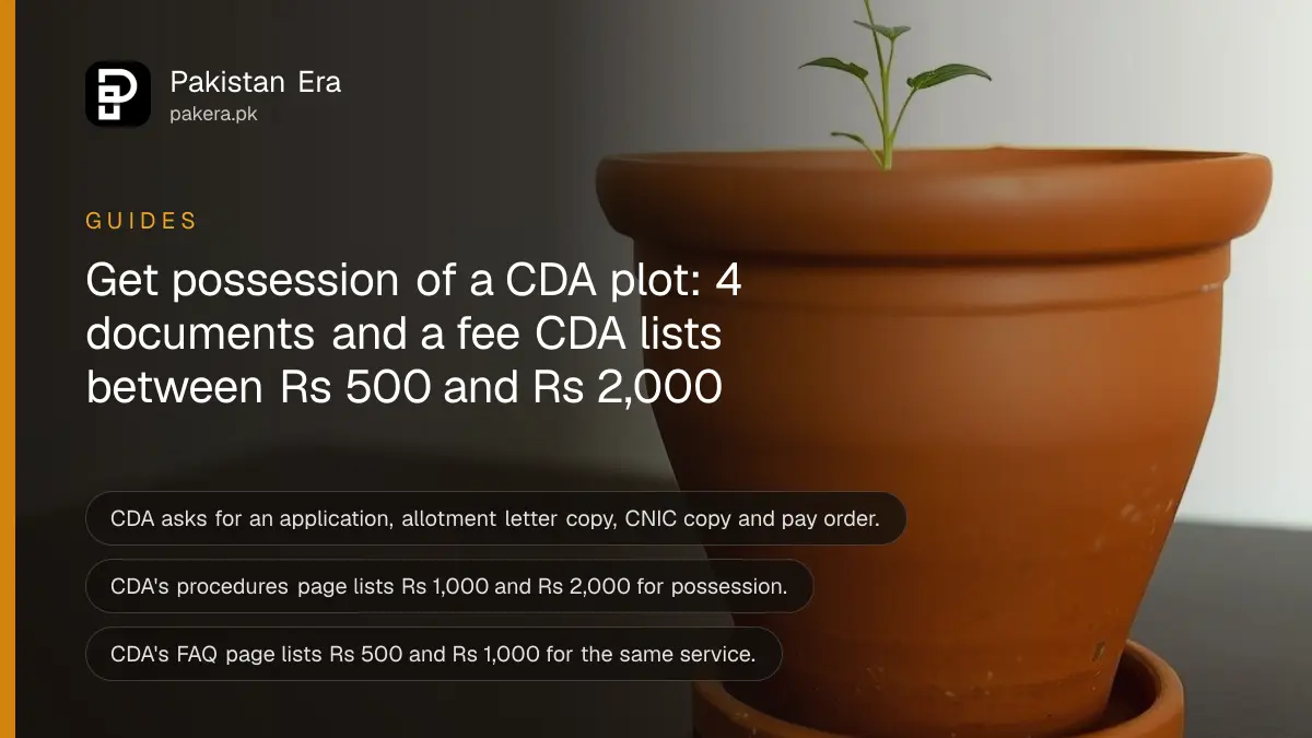 A small seedling in a terracotta pot on a dark wooden table, for a guide on CDA plot possession in Islamabad