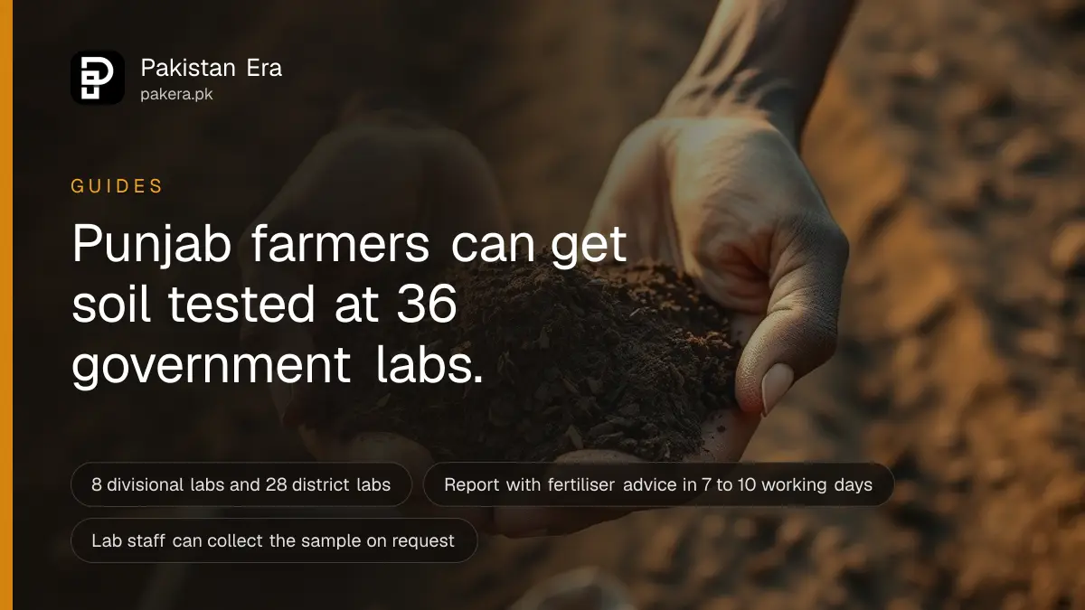 Two cupped hands holding a mound of dark brown farm soil above a freshly ploughed field
