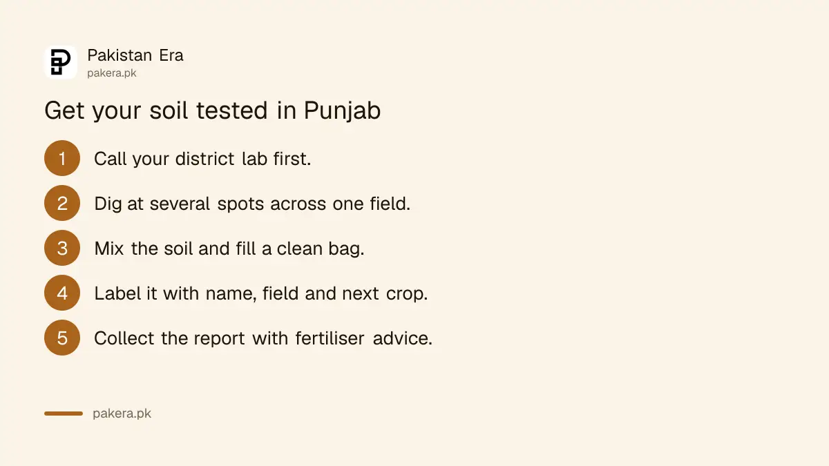 Five steps to get your soil tested at a Punjab government lab