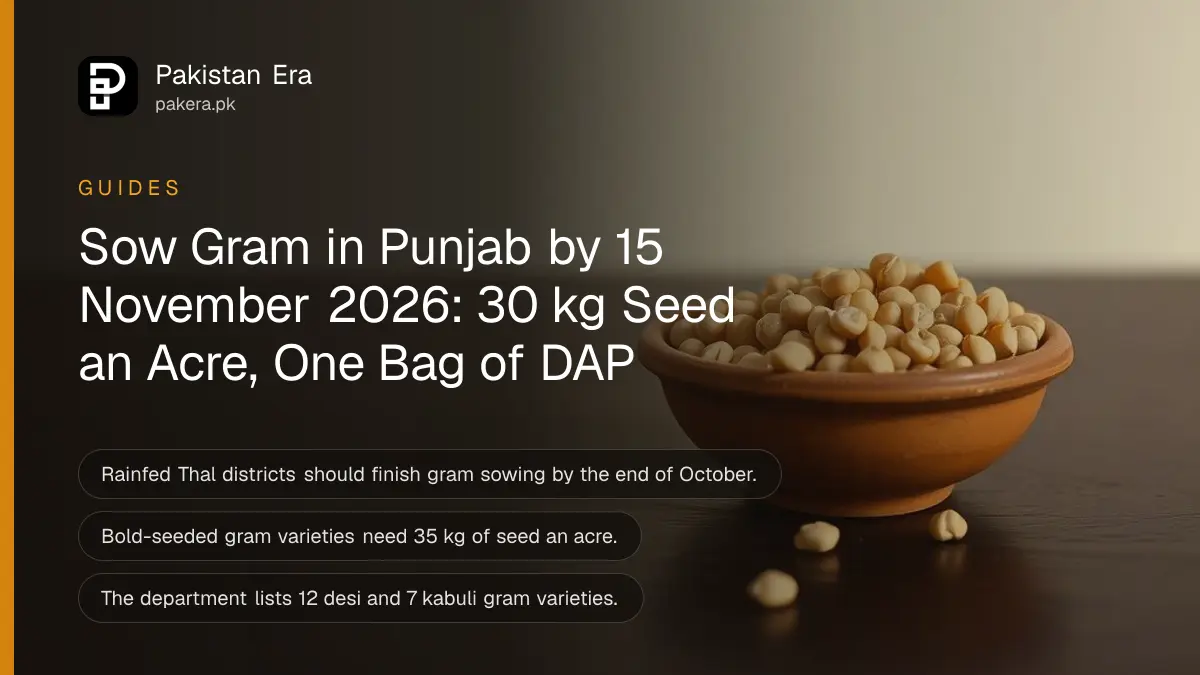 A small clay bowl full of dry chickpeas on a dark wooden table against a plain cream wall