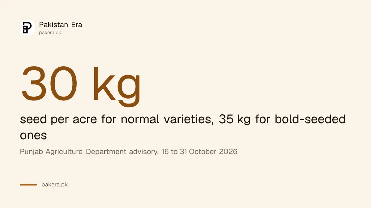 Gram seed rate in Punjab of 30 kg an acre for normal varieties and 35 kg for bold-seeded ones