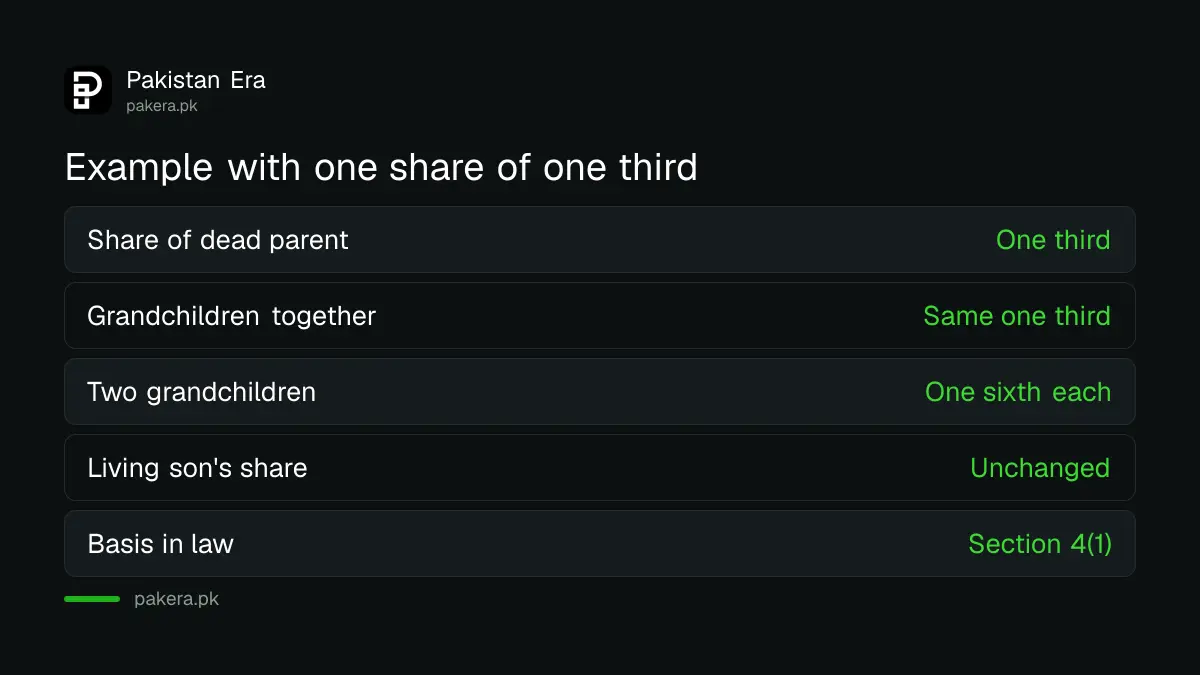 Example of how grandchildren divide a dead parent's one third share of an estate in Pakistan