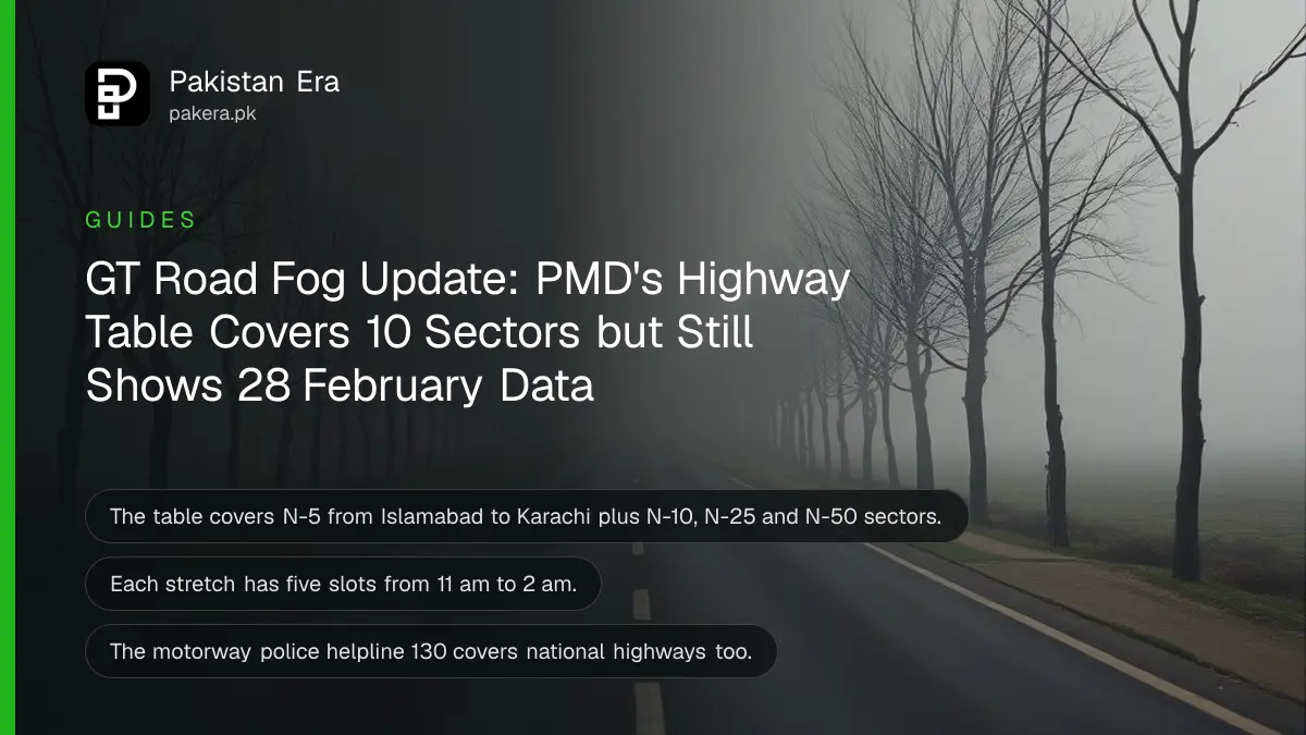 A long straight highway lined with trees disappearing into thick morning fog