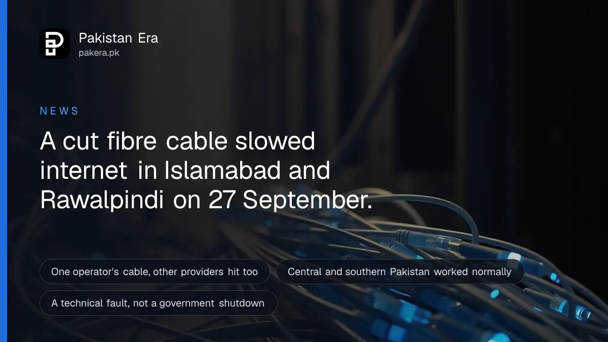 A tangle of fibre optic cables glowing with small points of light in a dim room