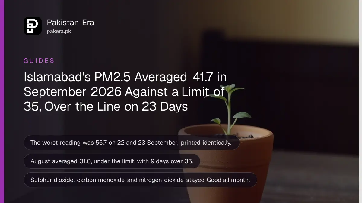 A small potted seedling on a dark wooden table against a plain cream wall in soft daylight, for Islamabad's air quality report