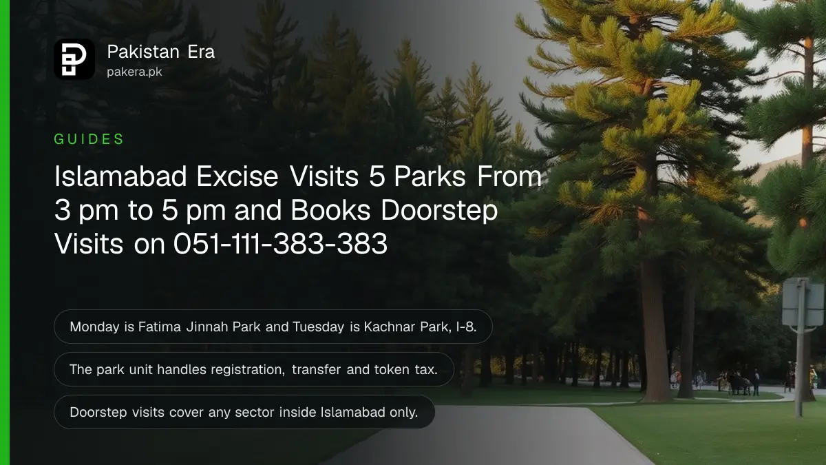 A green public park with tall trees and an empty walking path in late afternoon light