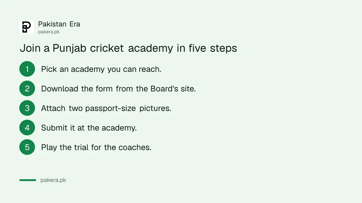 Steps to join a free Sports Board Punjab cricket academy, from form to trial
