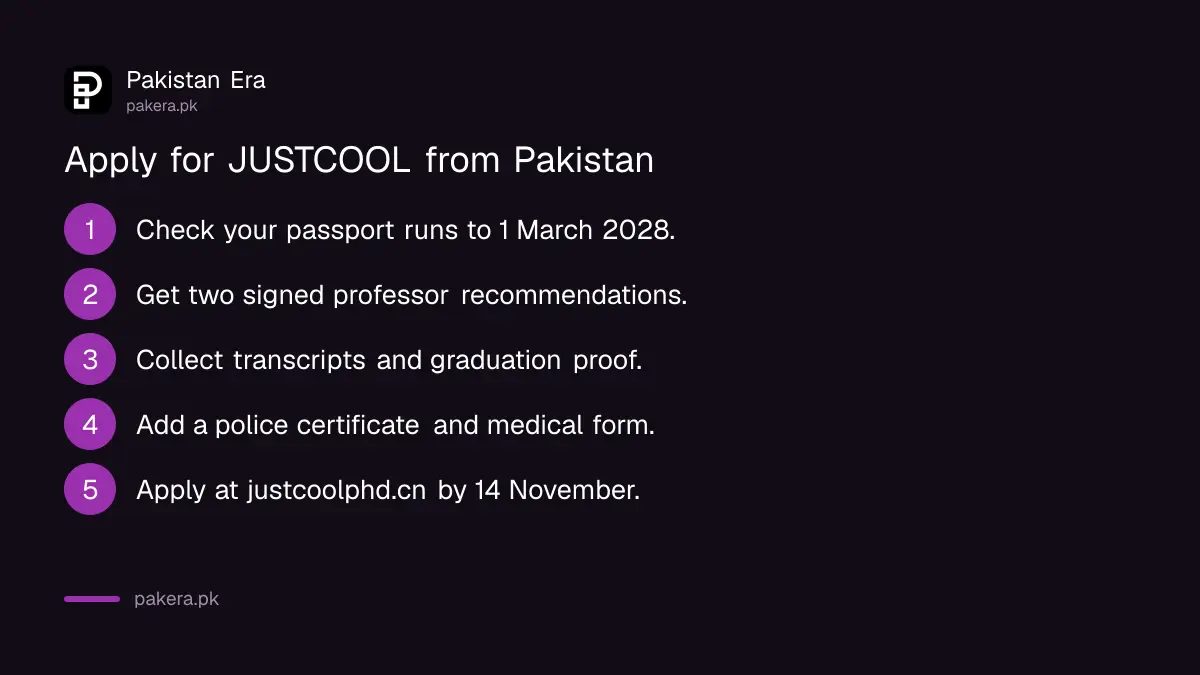 Steps to apply for the JUSTCOOL PhD programme from Pakistan