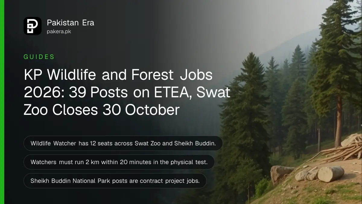 A green forested mountain valley with pine trees and a river under morning mist