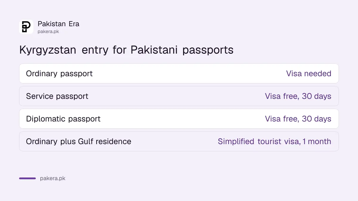 Kyrgyzstan visa check result for Pakistani passports on the official e-visa portal