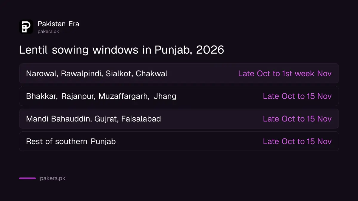 Lentil sowing windows in Punjab for 2026: late October to the first week of November in the north, to 15 November elsewhere