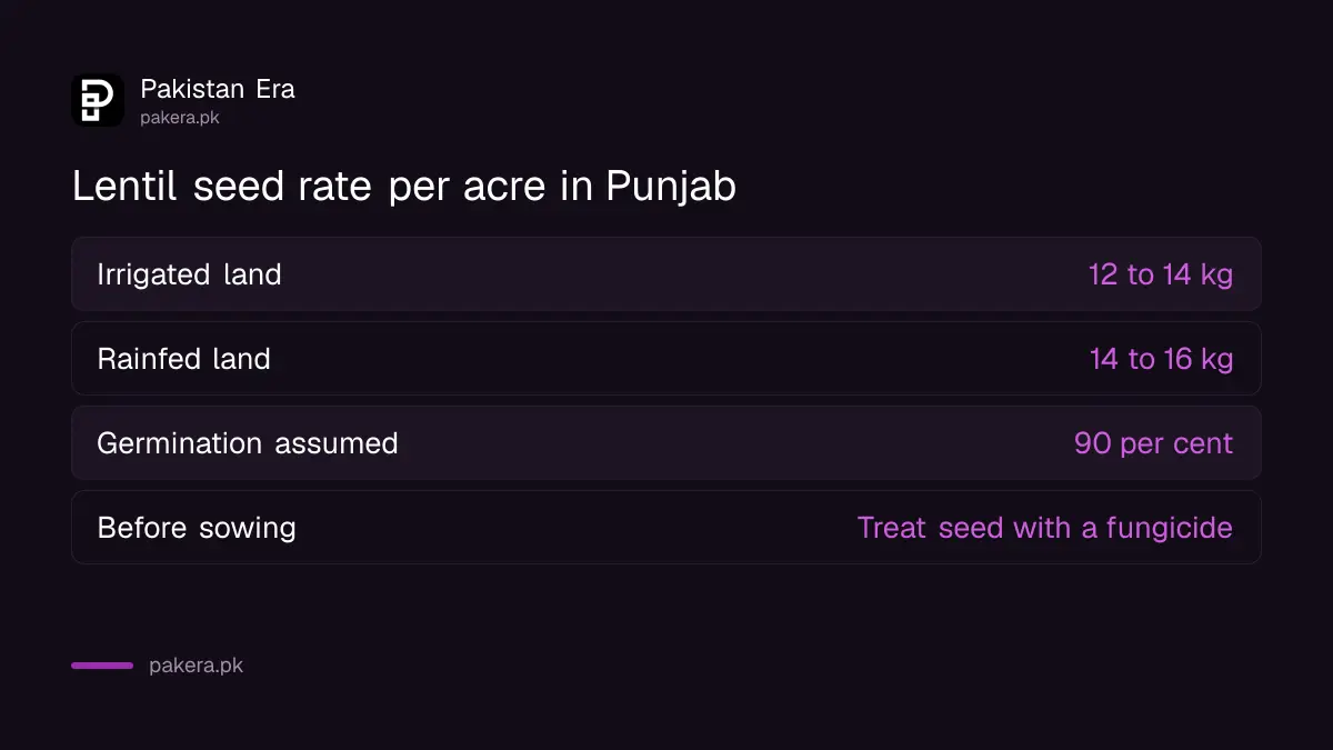 Lentil seed rate in Punjab: 12 to 14 kg an acre irrigated and 14 to 16 kg rainfed
