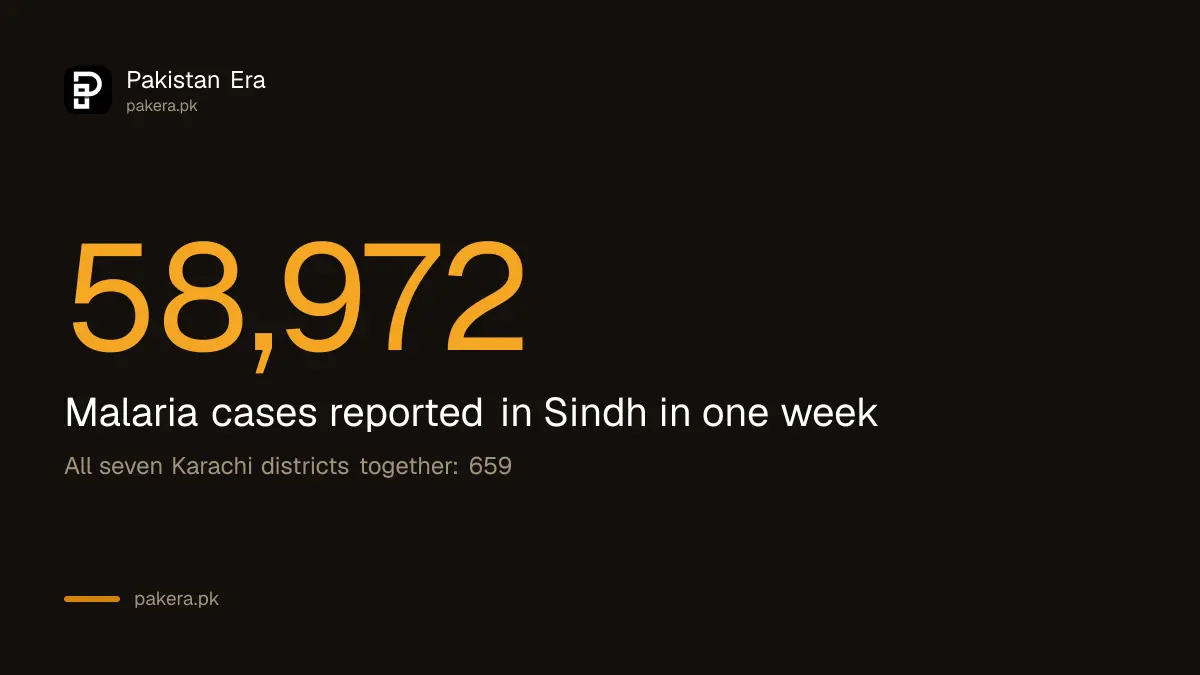 58,972 malaria cases reported in Sindh in one week