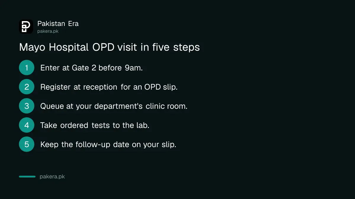 Steps to see a doctor in Mayo Hospital Lahore OPD: Gate 2 before 9am, register, queue at the department, take tests, keep the follow-up date
