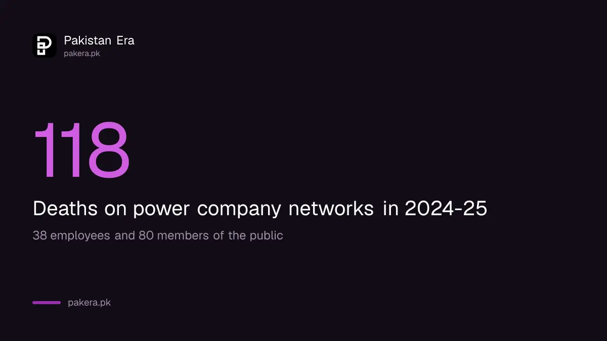 118 deaths on power company networks in 2024-25