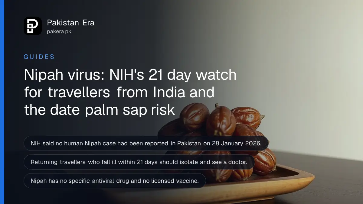 A cluster of dates on a wooden tray, for a guide on the Nipah virus alert in Pakistan