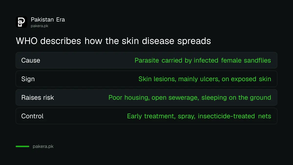 Comparison of what cutaneous leishmaniasis is, how it spreads and what the World Health Organization says reduces the risk