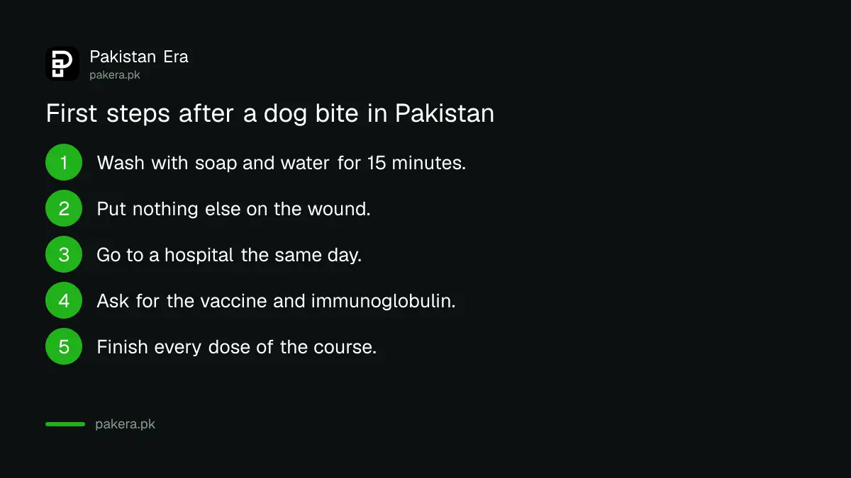 Steps after a dog bite in Pakistan: wash for 15 minutes, go to hospital the same day, ask for the vaccine and immunoglobulin, finish the course