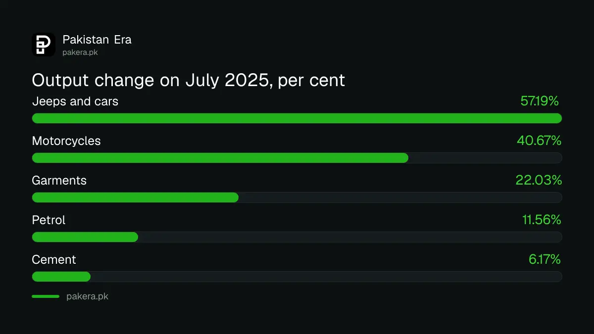 Products that rose most in Pakistan's large-scale manufacturing in July 2026 compared with July 2025