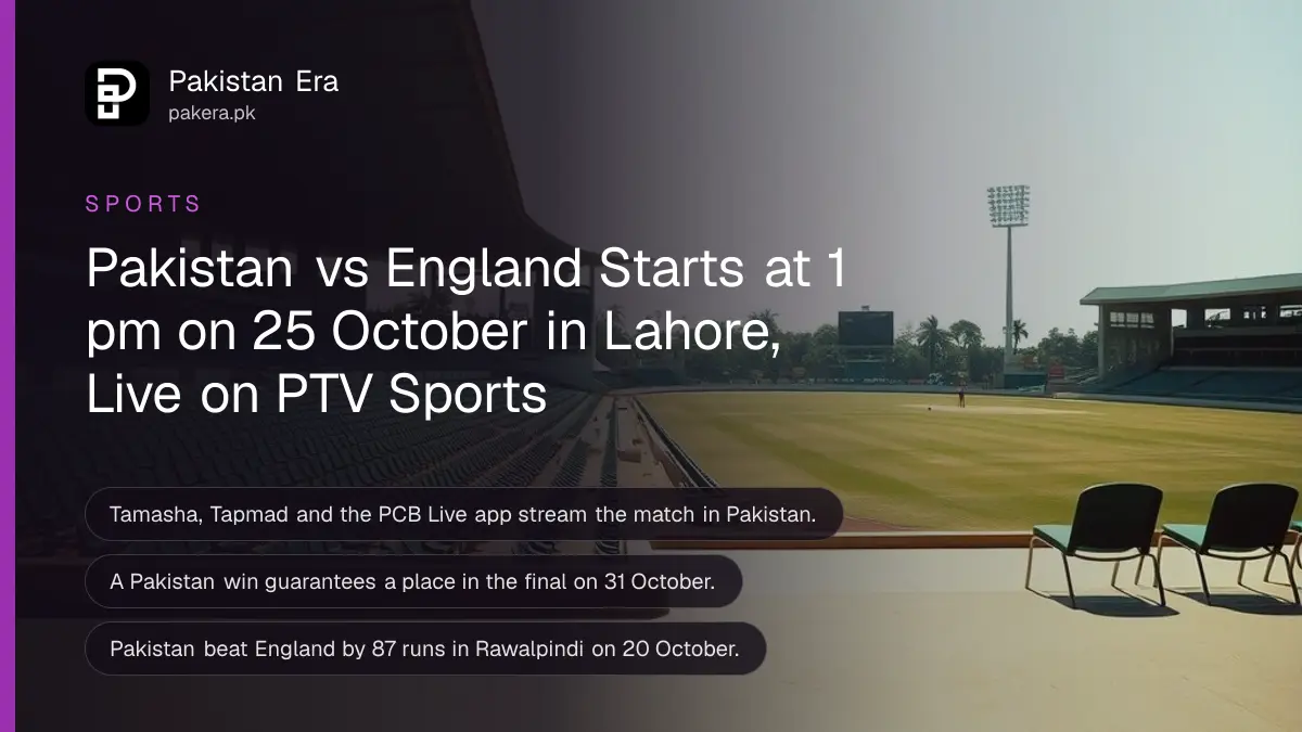 An empty cricket stadium with green seats in afternoon light