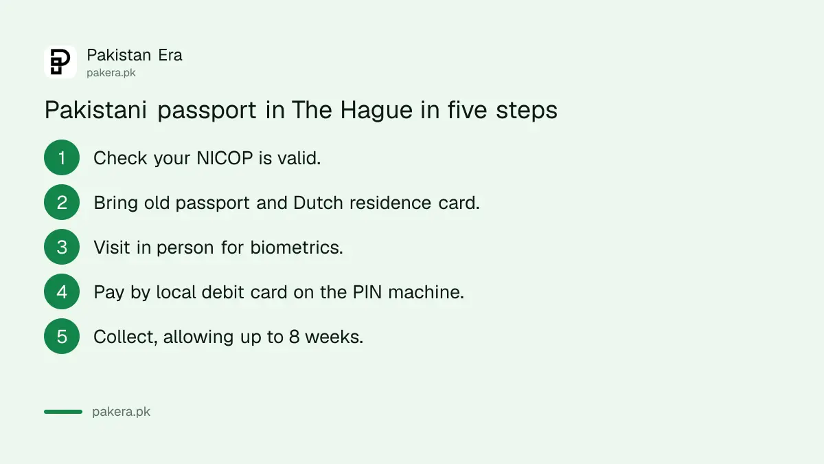 Steps to apply for a Pakistani passport at the embassy in The Hague