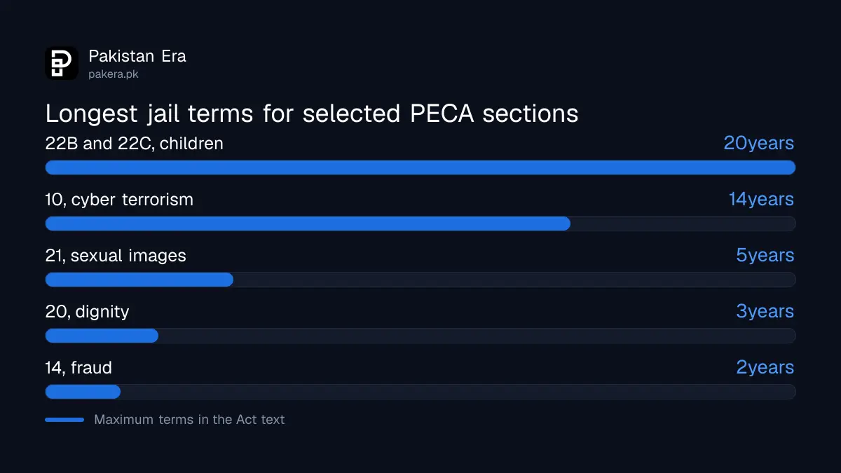 Longest jail terms under selected PECA sections in Pakistan