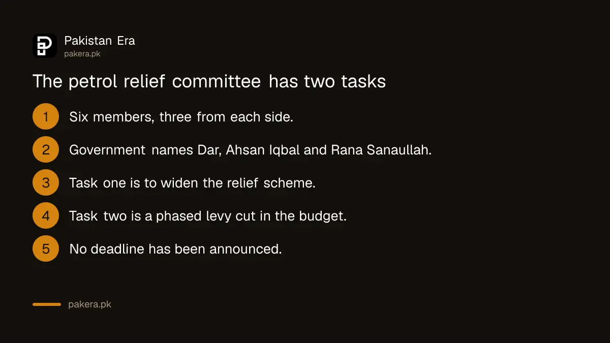 The six-member government and Jamaat-e-Islami committee and its two tasks on petrol relief