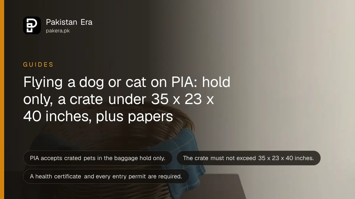 An empty wicker basket and a blue blanket on a dark table, for a guide to flying a pet on PIA