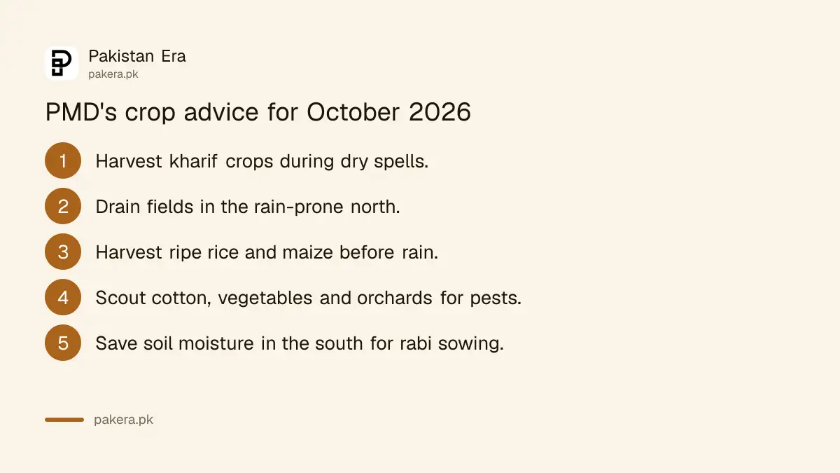 PMD's five crop steps for October 2026, from harvesting in dry spells to saving soil moisture for rabi sowing
