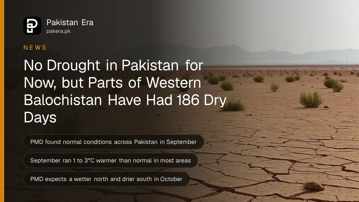 Cracked dry earth and sparse shrubs in a desert landscape of western Balochistan