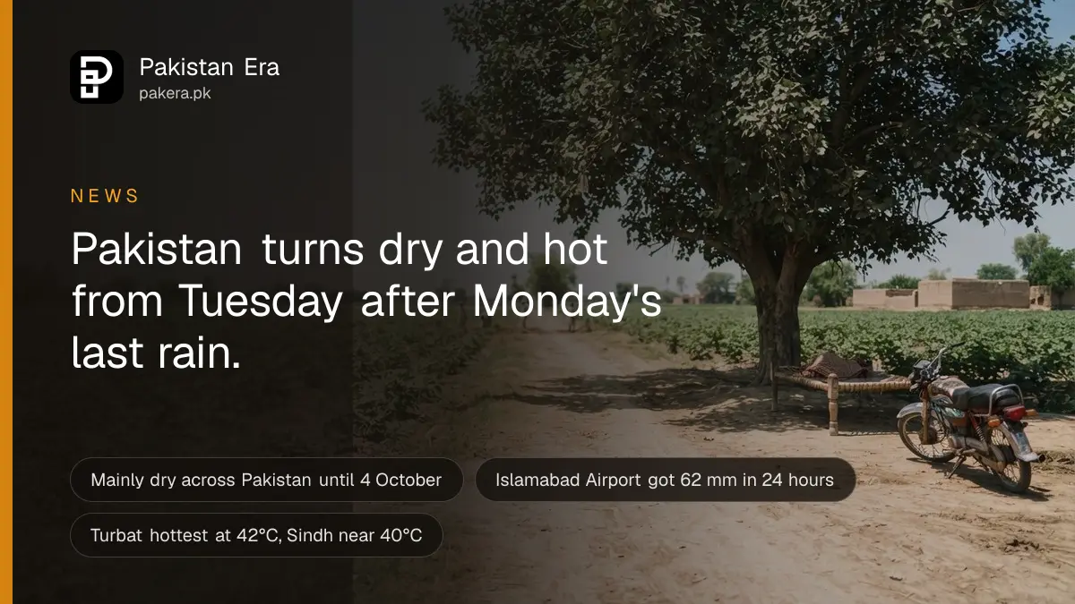 A dry dirt road running past a single shade tree across open farmland under a clear, hot midday sky