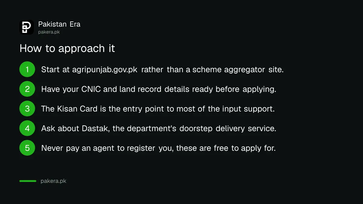 How to apply for Punjab agriculture schemes