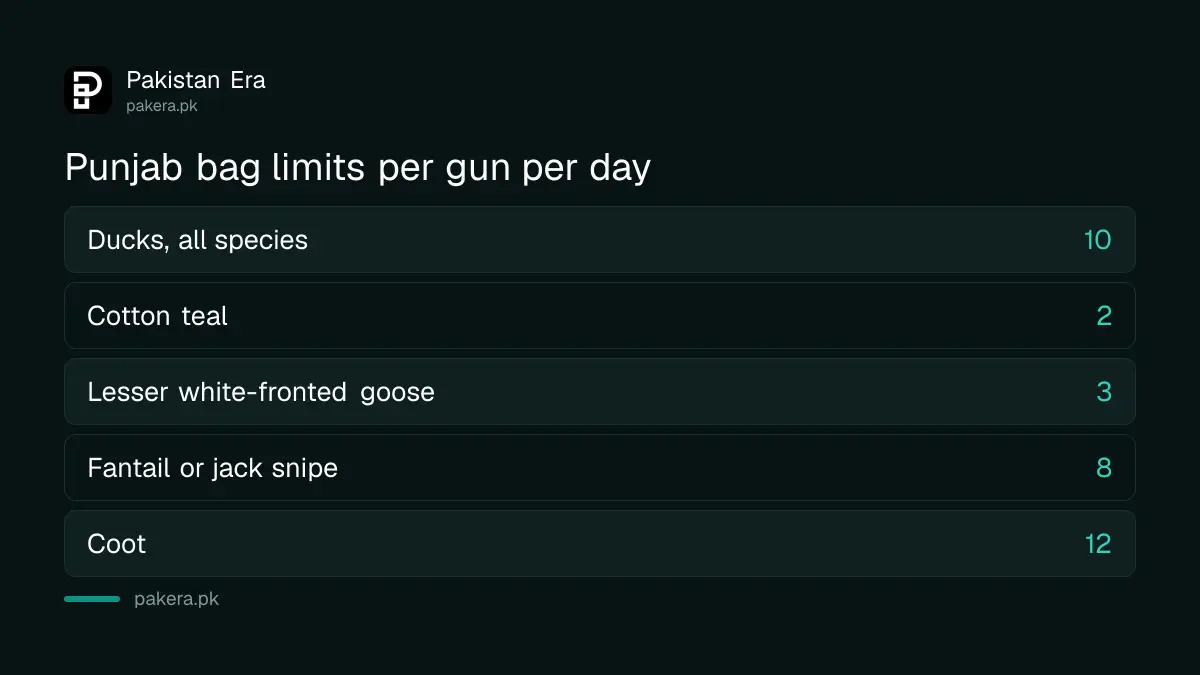 Punjab bag limits per gun per day: ten ducks, two cotton teal, three lesser white-fronted geese, twelve coot, eight snipe