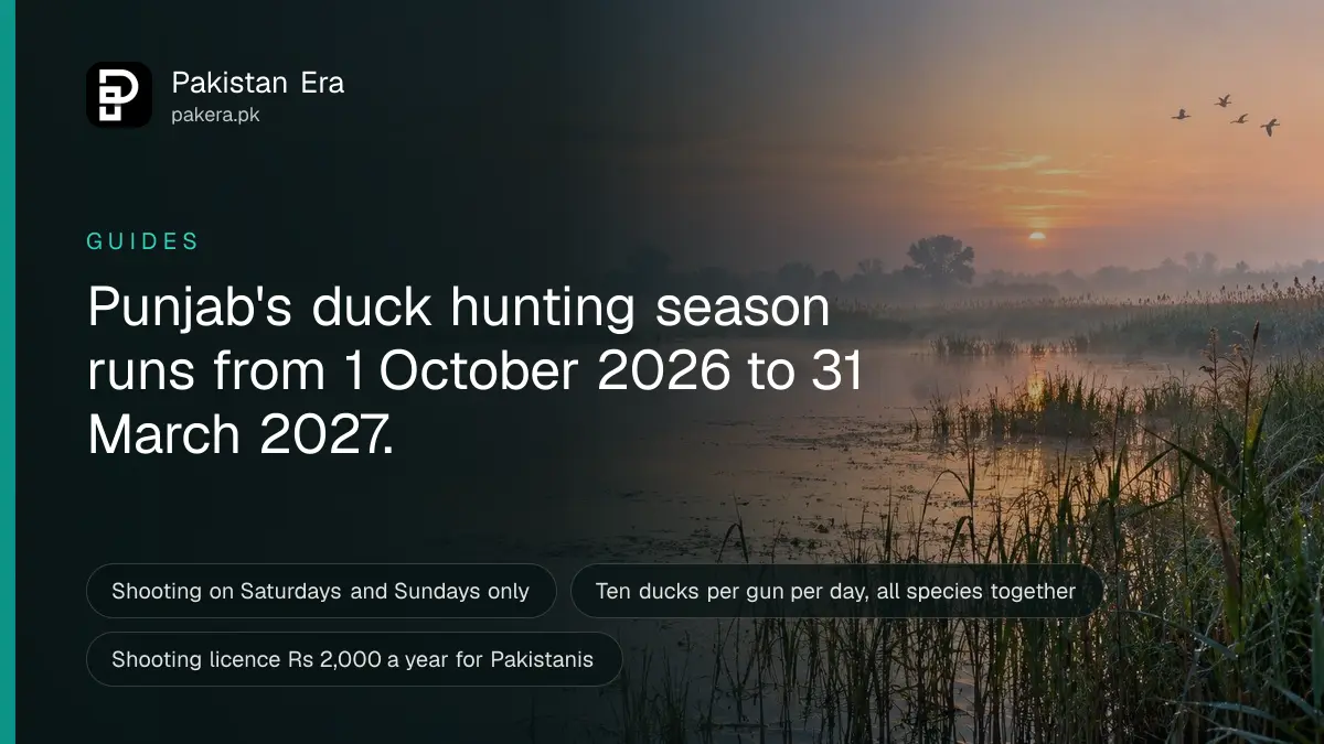 A calm Punjab wetland at dawn with reeds, still water and mist over the far bank