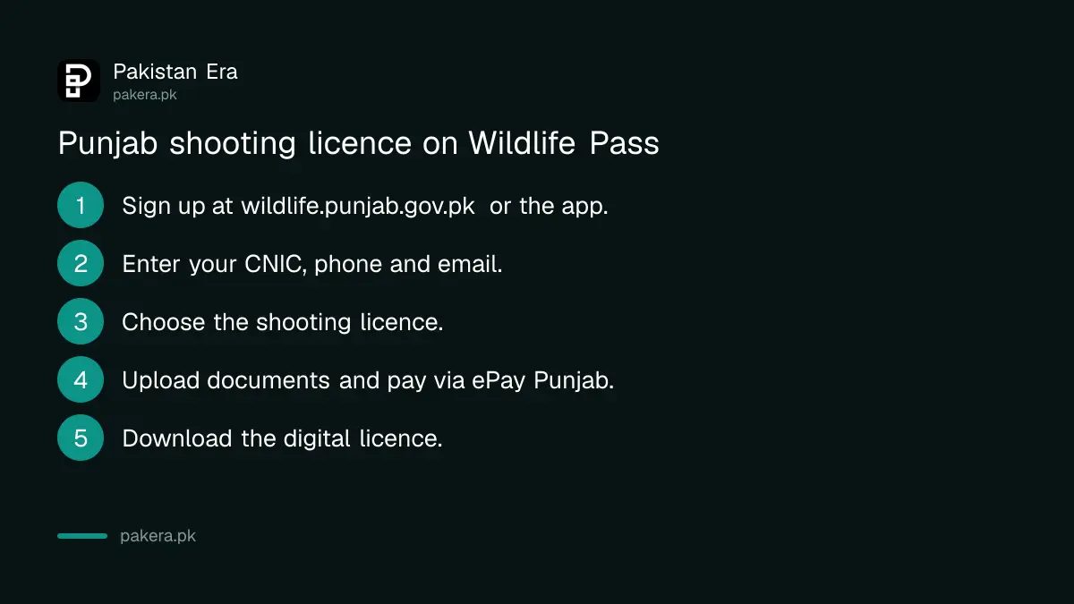Steps to get a Punjab shooting licence on the Wildlife Pass portal: register, choose licence, upload, pay, download