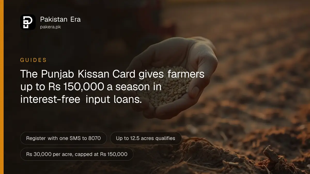 A farmer checking a wheat field in Punjab during the sowing season