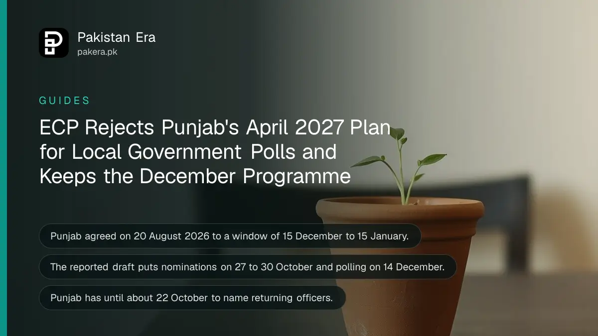 A clay pot with a green seedling on a dark wooden table against a cream wall, for the Punjab local government elections
