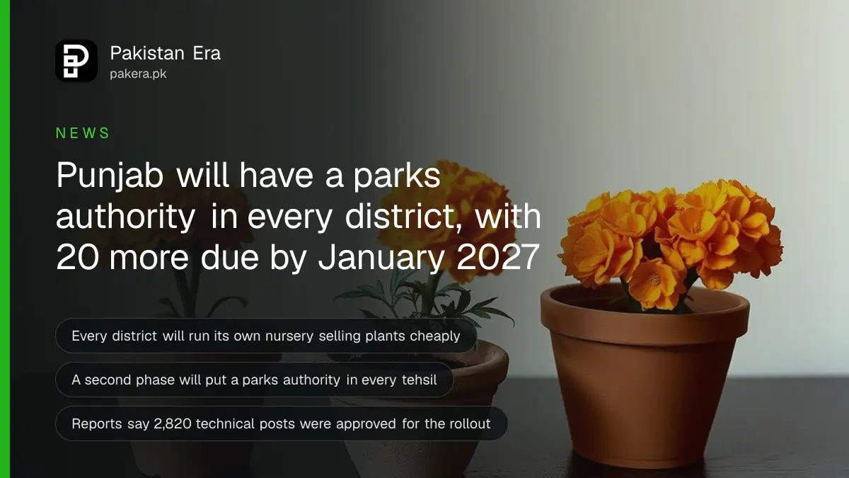 Clay pots of orange marigolds and a small green sapling on a dark wooden table against a cream wall