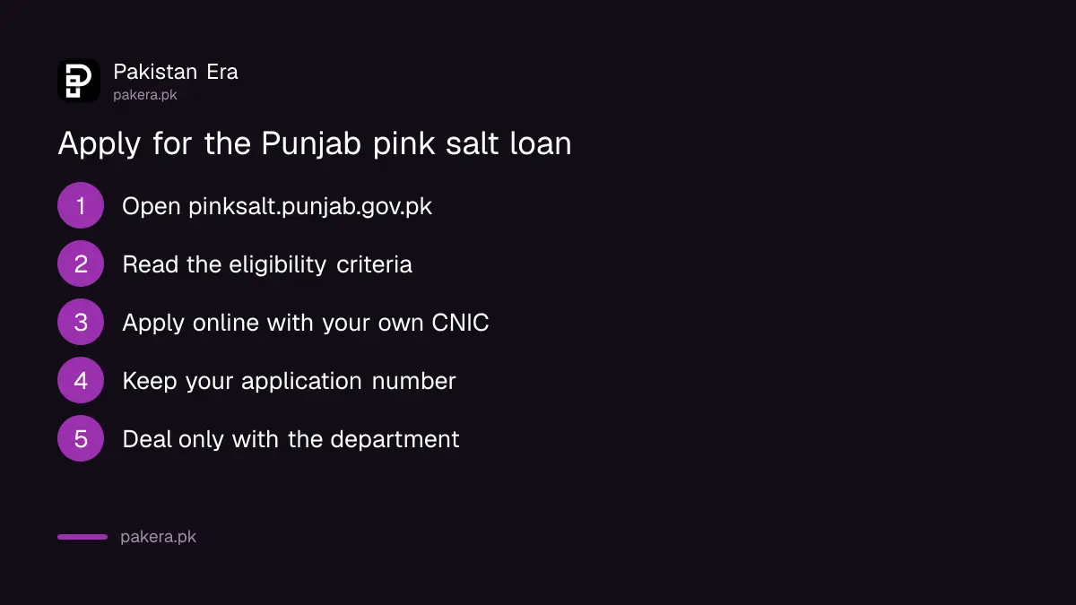 How to apply for the Punjab pink salt loan scheme online at pinksalt.punjab.gov.pk