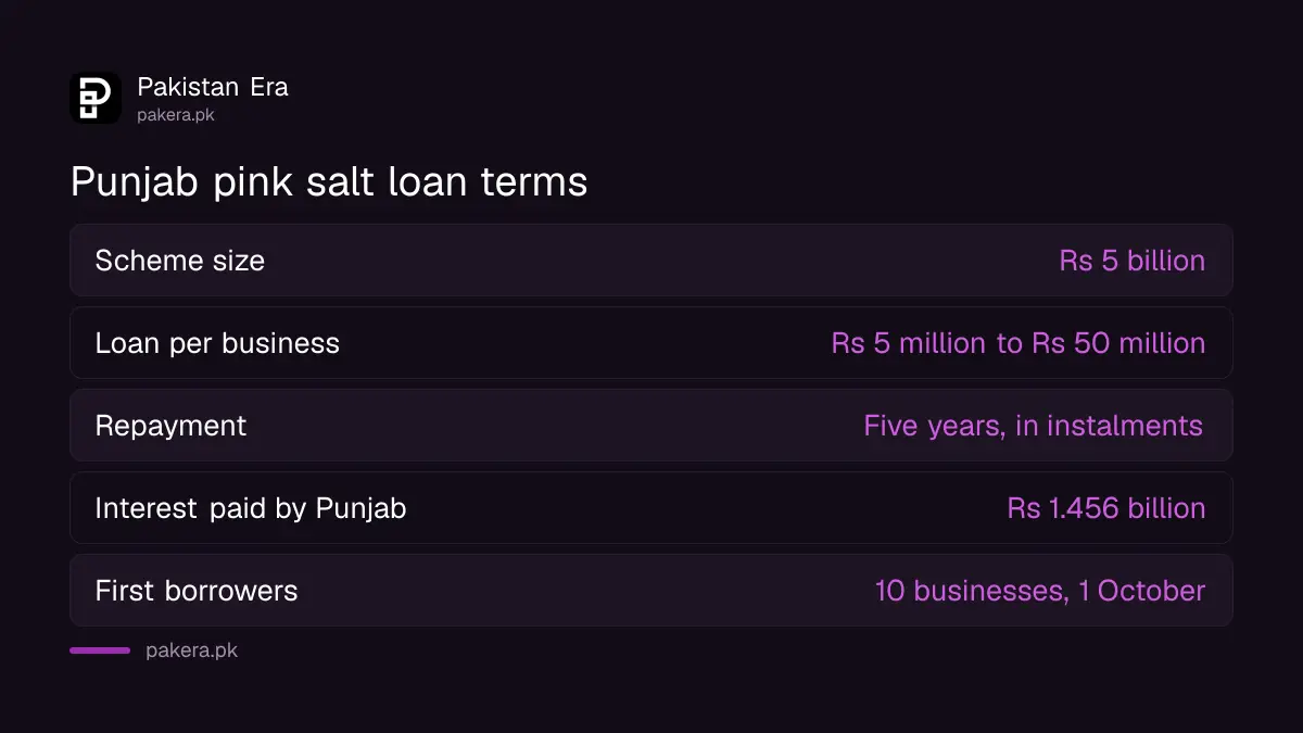 Punjab pink salt loan terms: Rs 5 billion scheme, up to Rs 50 million per business, five years to repay