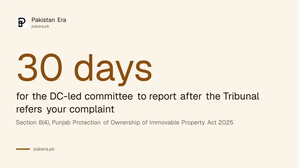 The Scrutiny Committee has 30 days to report on a Punjab qabza complaint