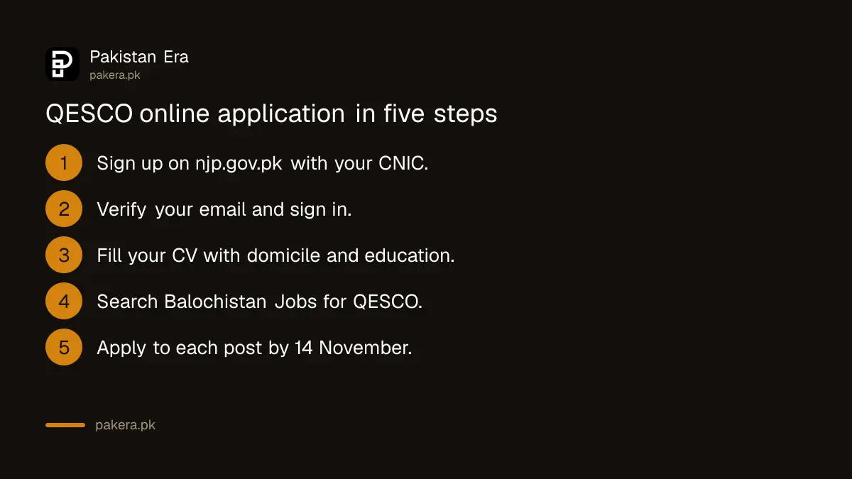 Five steps to apply for QESCO jobs on the National Jobs Portal