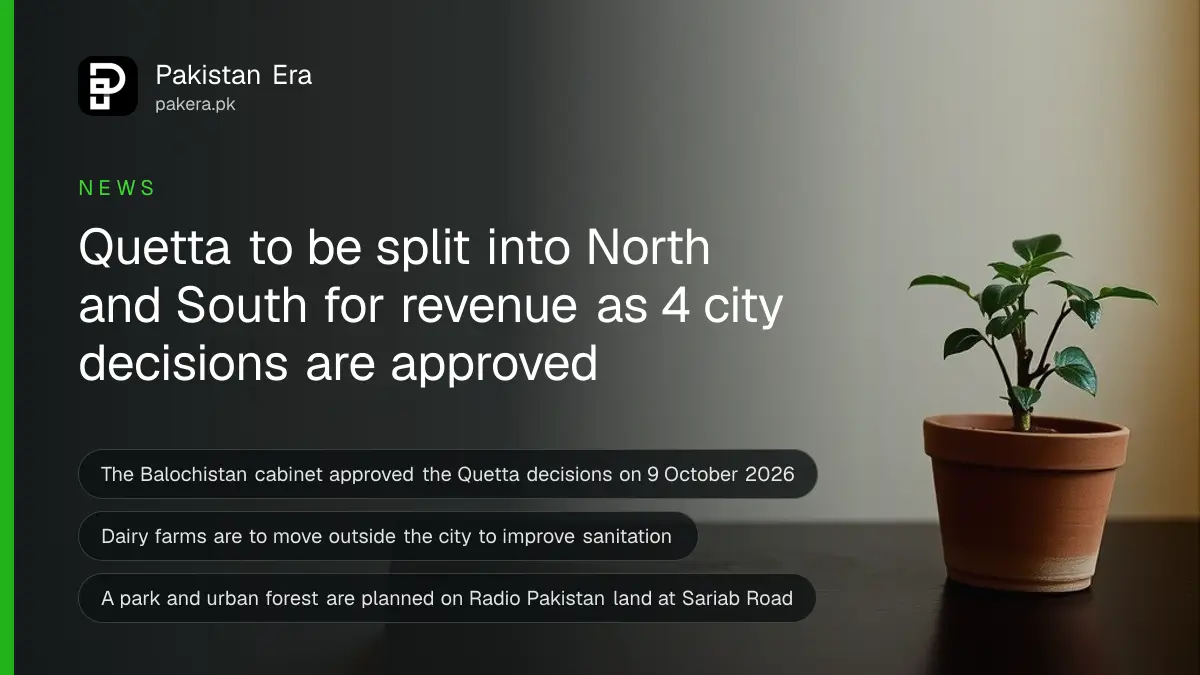 A small potted plant on a dark wooden table, for a guide on quetta north south revenue