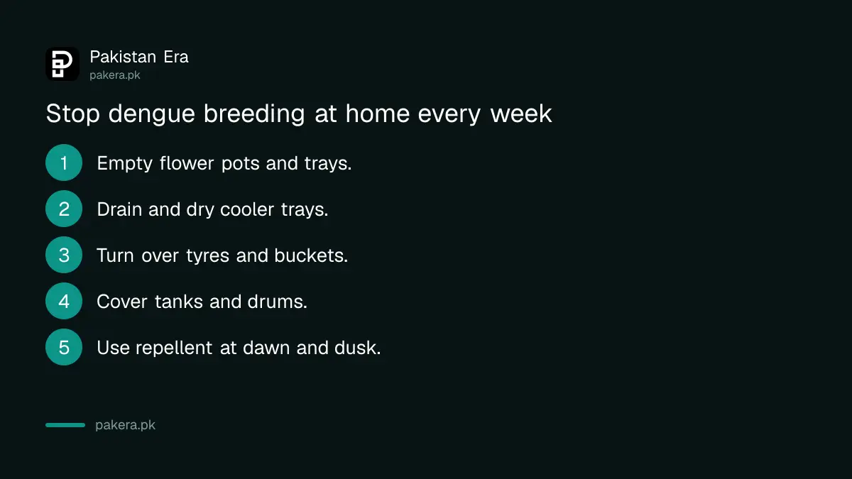Five weekly steps to stop dengue mosquitoes breeding at home