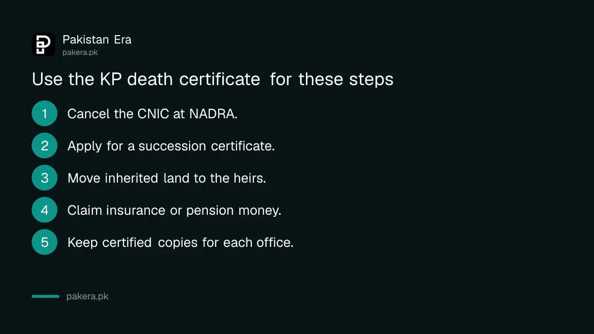 Steps after a KP death certificate: NADRA, succession, land and insurance